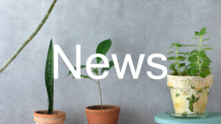 新作入りました